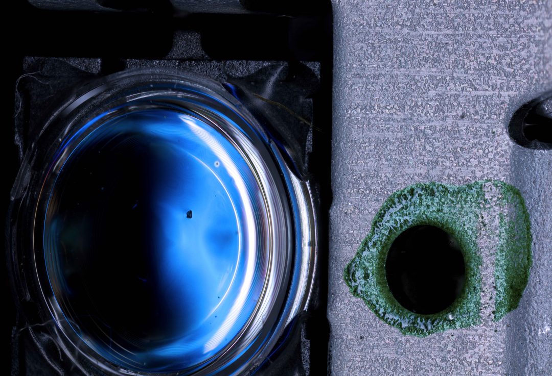Macro lenses and focus stacking – Clicksnap